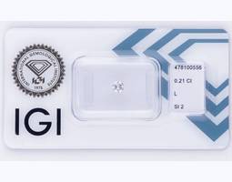 IGI 0.21-L/Si2